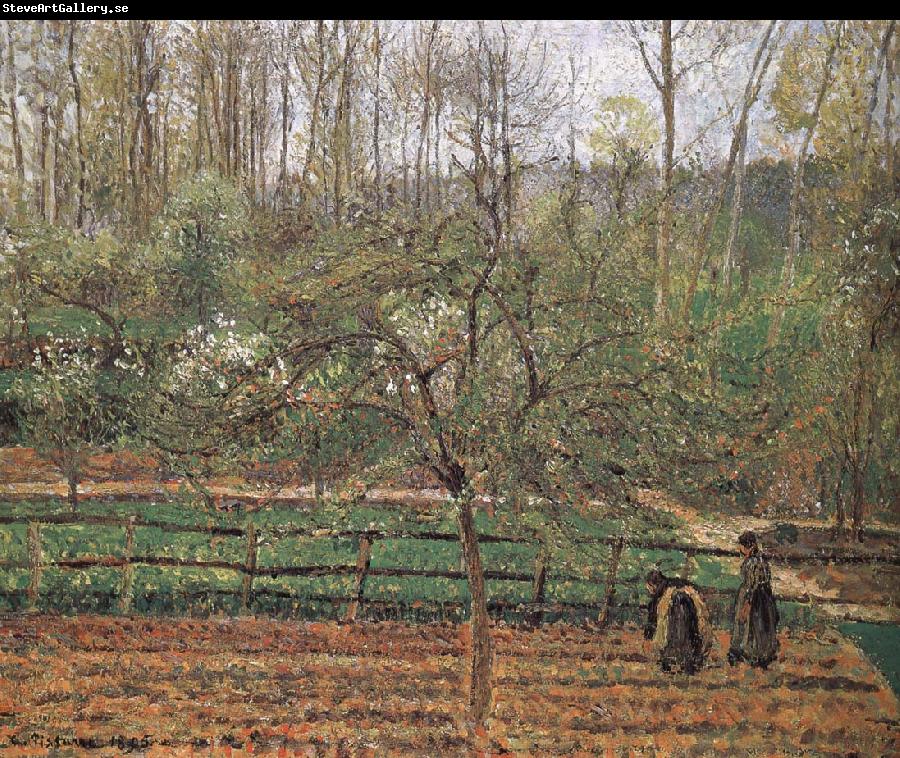 Camille Pissarro Spring